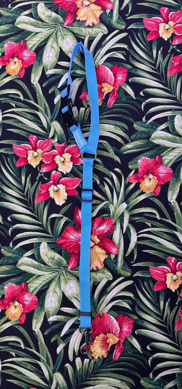 Bwogue Blue Dog Car Seat Belt Leash Like New Fits All Sizes
